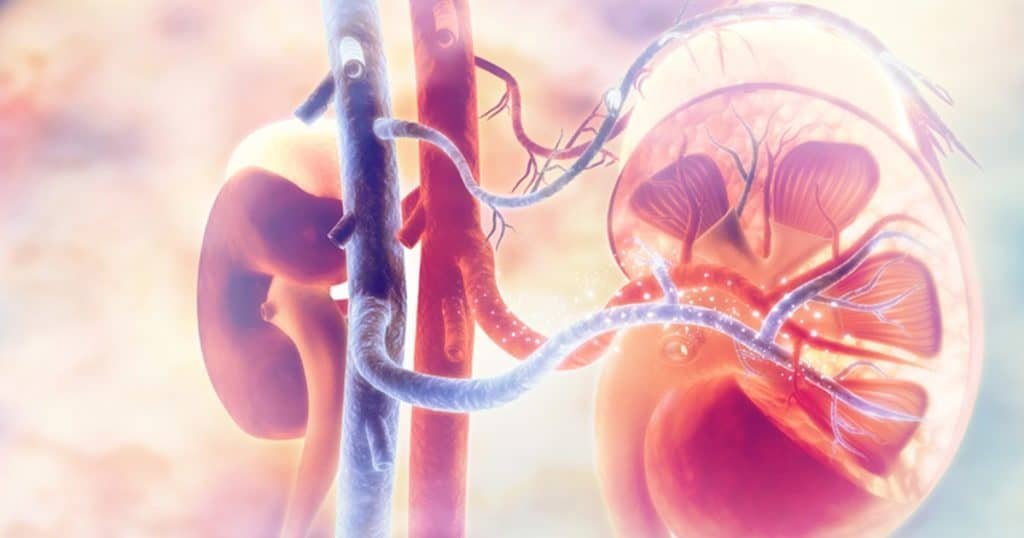 Kidney Health Centre