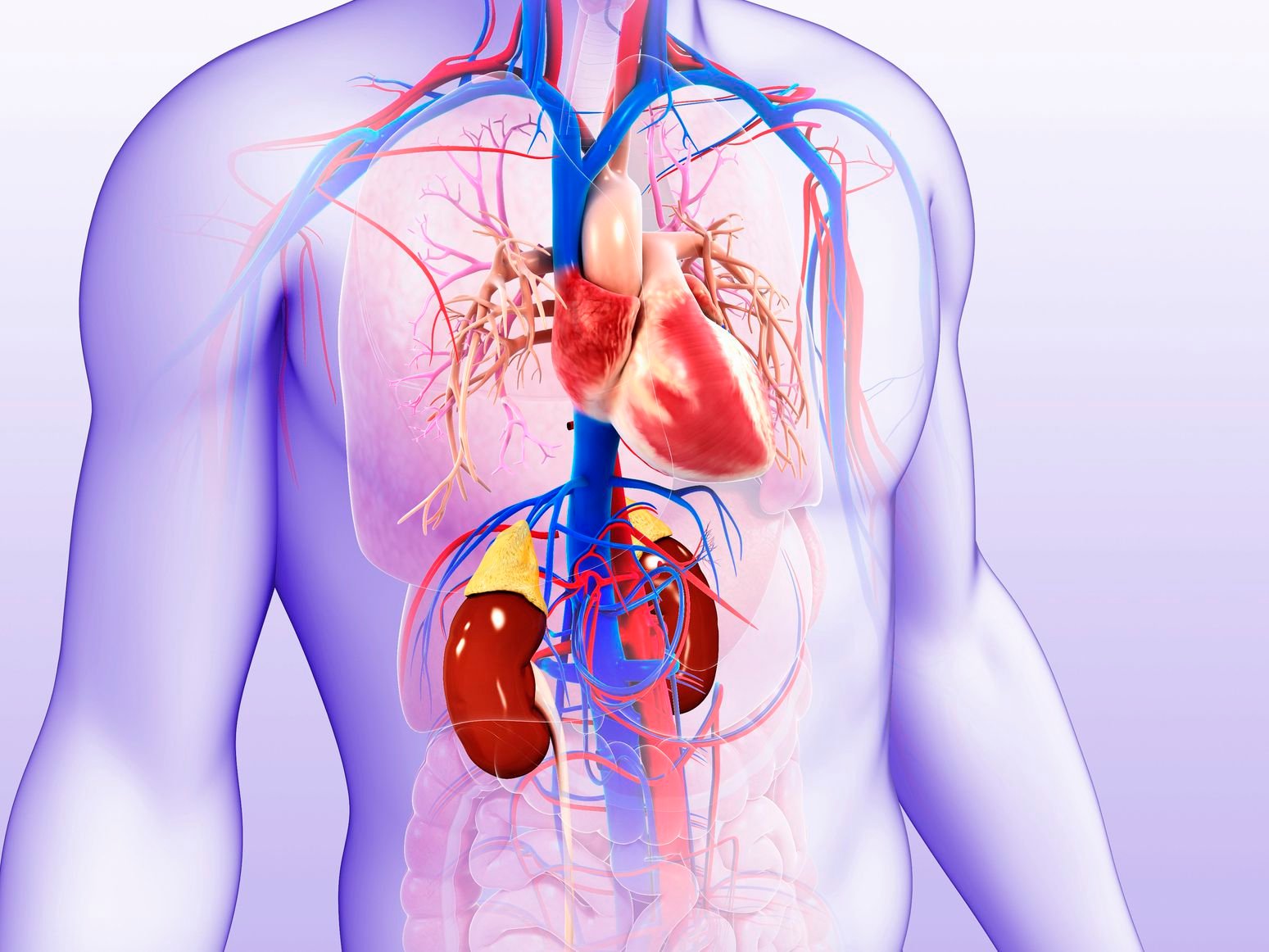 Kidney Specialist in Delhi